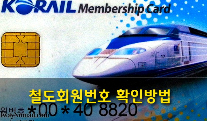 KTX 코레일멤버십 회원번호 찾기 꿀팁 &amp;#124; 전화번호 로그인 찾기 회원번호 확인