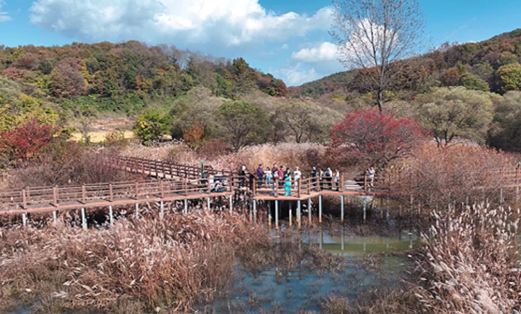 문경 돌리네습지