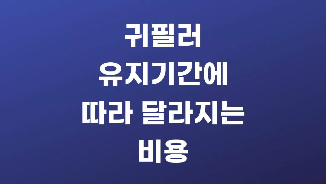 귀필러 유지기간에 따라 달라지는 비용