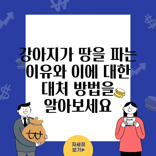 강아지가 땅을 파는 이유와 이에 대한 대처 방법을 알아보세요