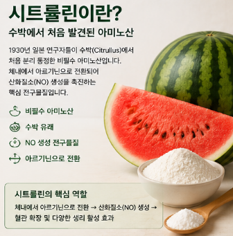 시트룰린-효능-다이어트-내돈내산-효과-추천