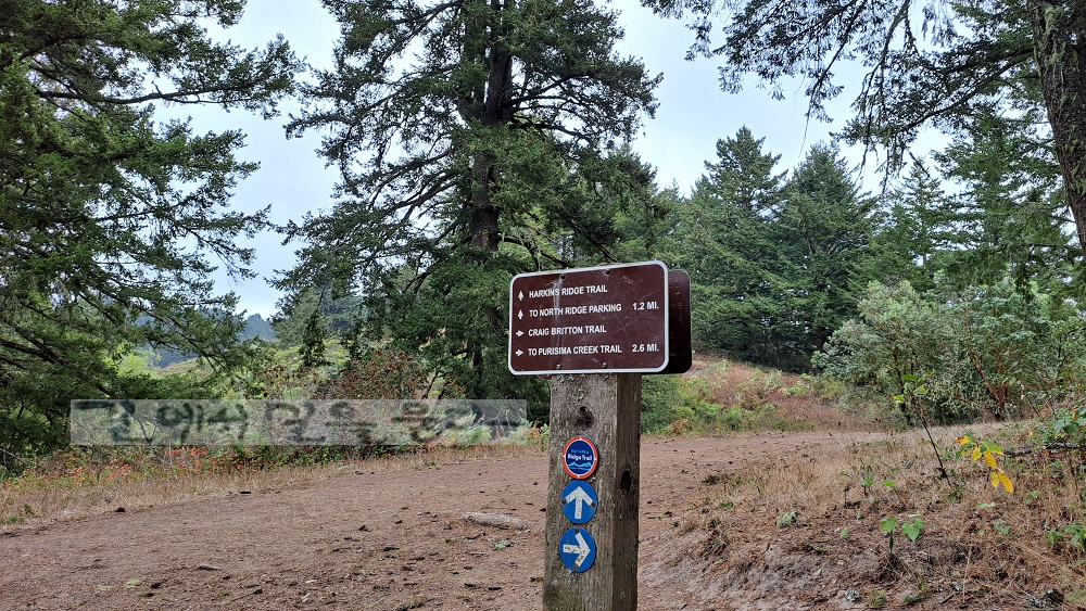 Purisima Creek Redwoods Open Space Preserve