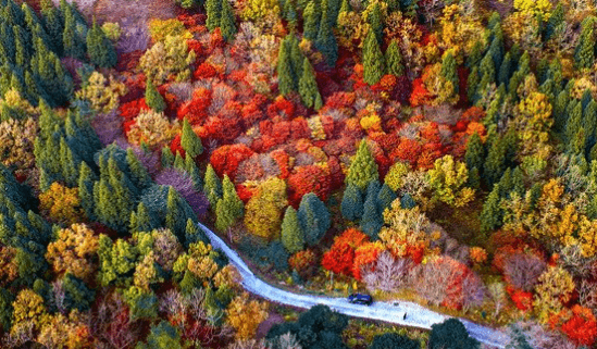 2024 설악산 단풍시기와 탐방코스 및 예약 방법