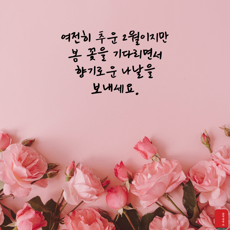 2월 인사말 문구 이미지 모음집