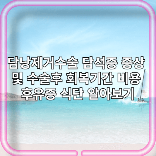 담낭제거수술 담석증 증상 및 수술후 회복기간 비용 후유증 식단 알아보기