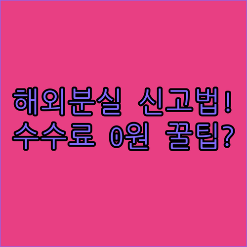 모두의카드 해외 분실 신고 방법 및 ..