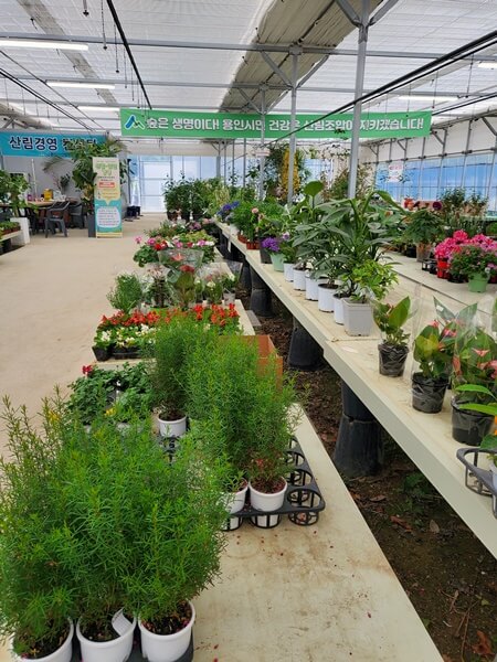 용인시산림조합 화분 모종판매