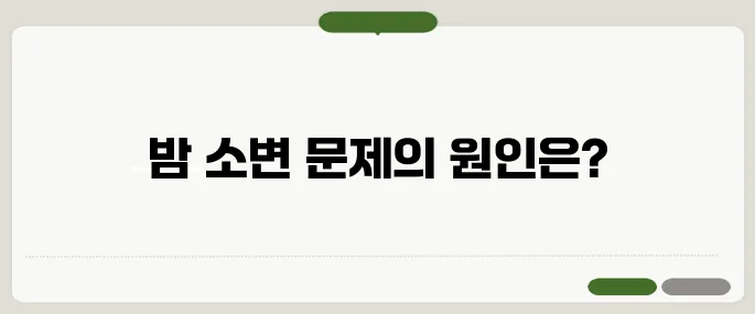 소변이 자주 마려운 증상 밤에 더 심하다면