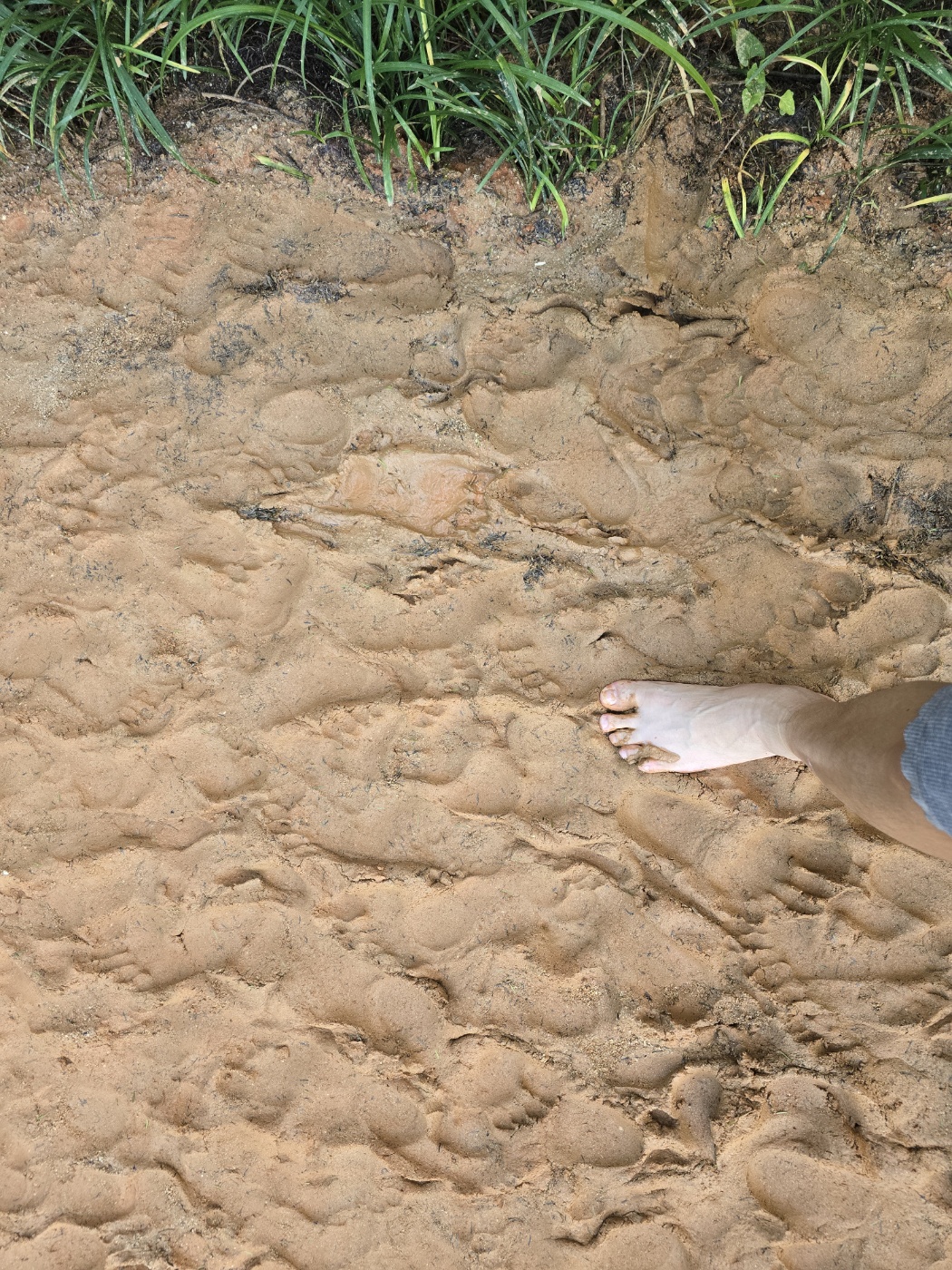 맨발로 황토길 걷기