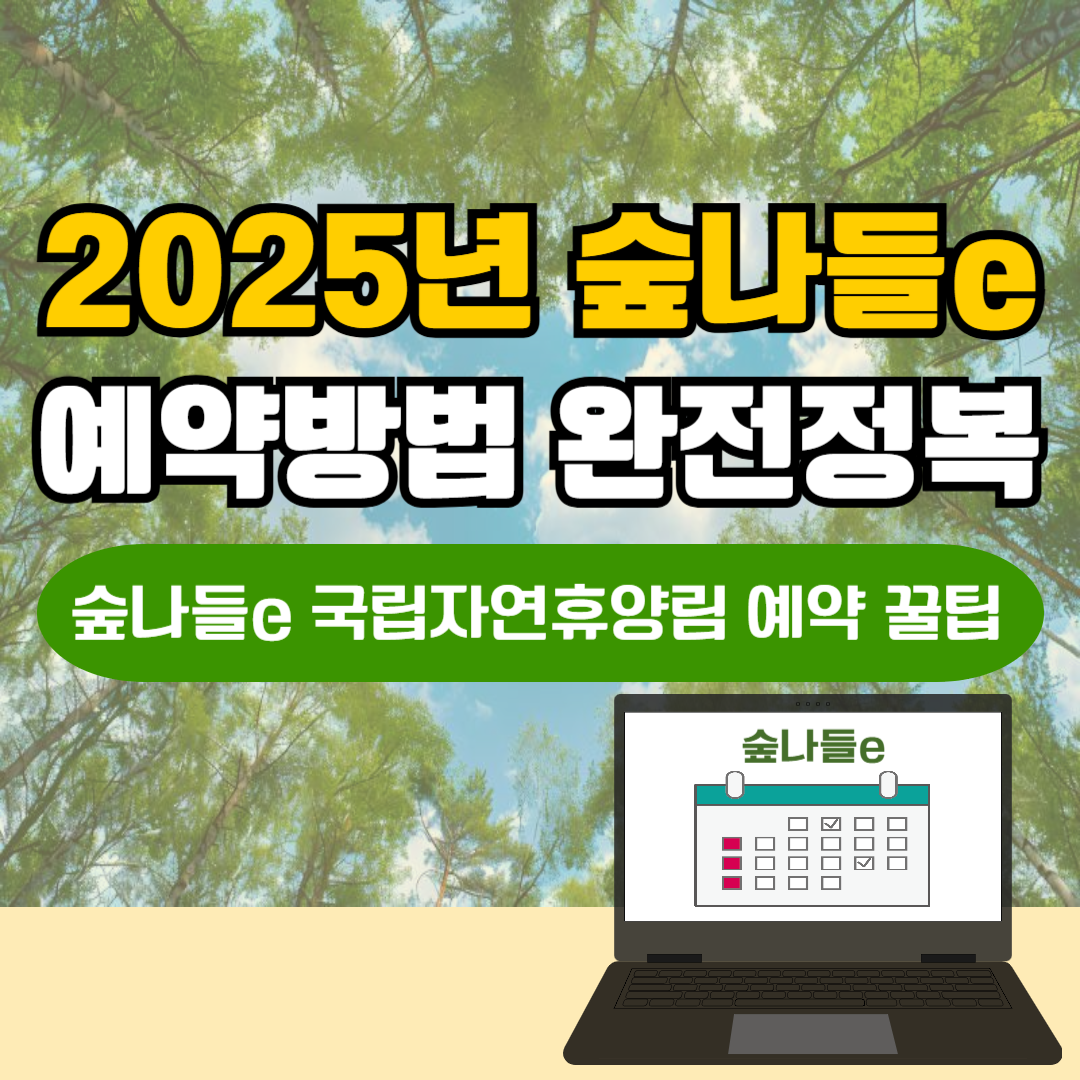 2025년 숲나들e 예약 방법 완전정복｜국립자연휴양림 예약 꿀팁