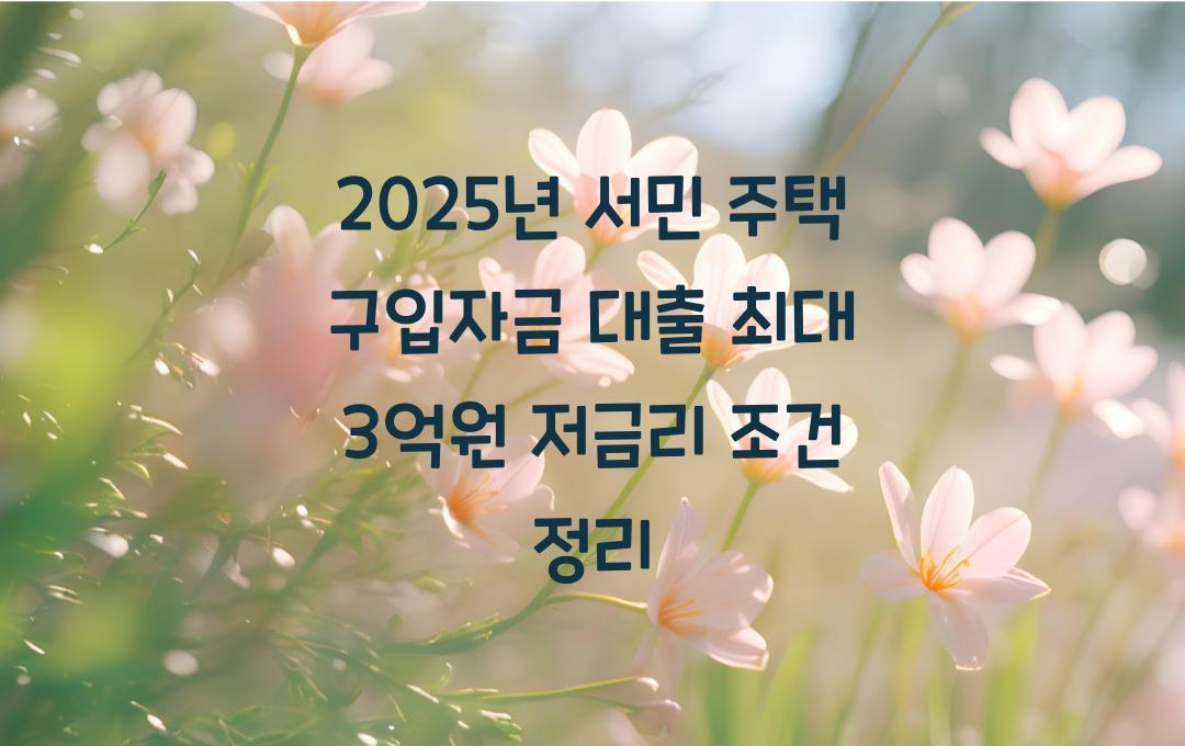 2025년 서민 주택 구입자금 대출 한도 상향, 최대 3억원 저금리 대출 조건