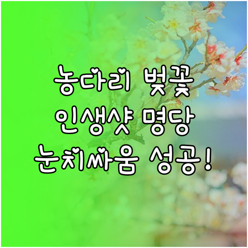 2026년 진천 농다리 벚꽃 시기 및..