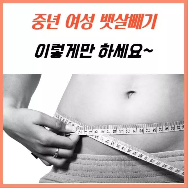 중년여성뱃살빼기 추천