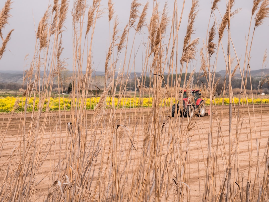 Agricultural land