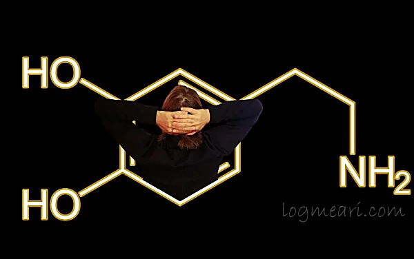 내분비계통-호르몬