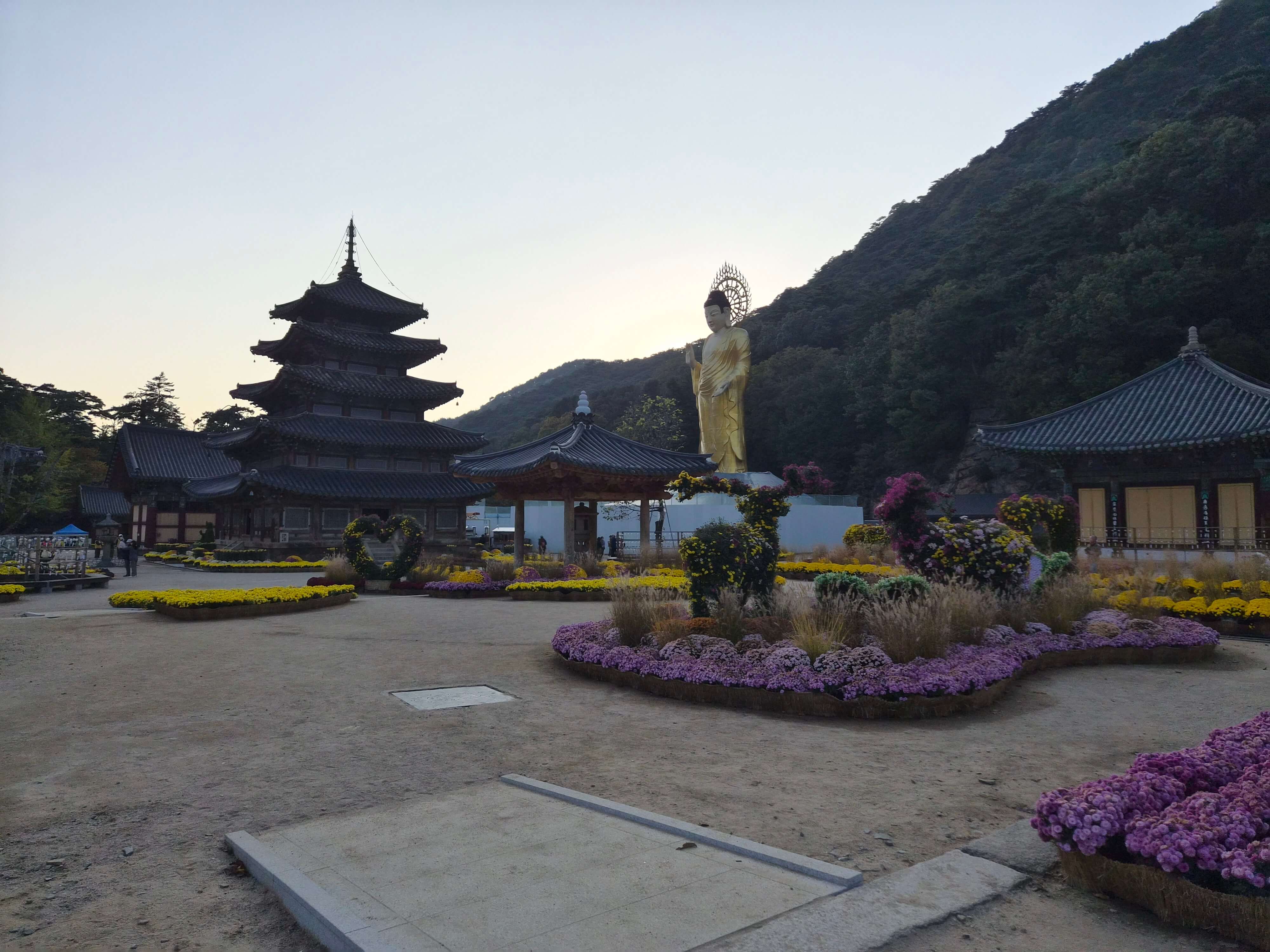 법주사