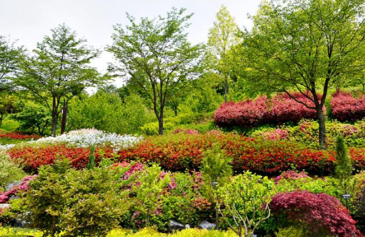 당진 삼선산수목원