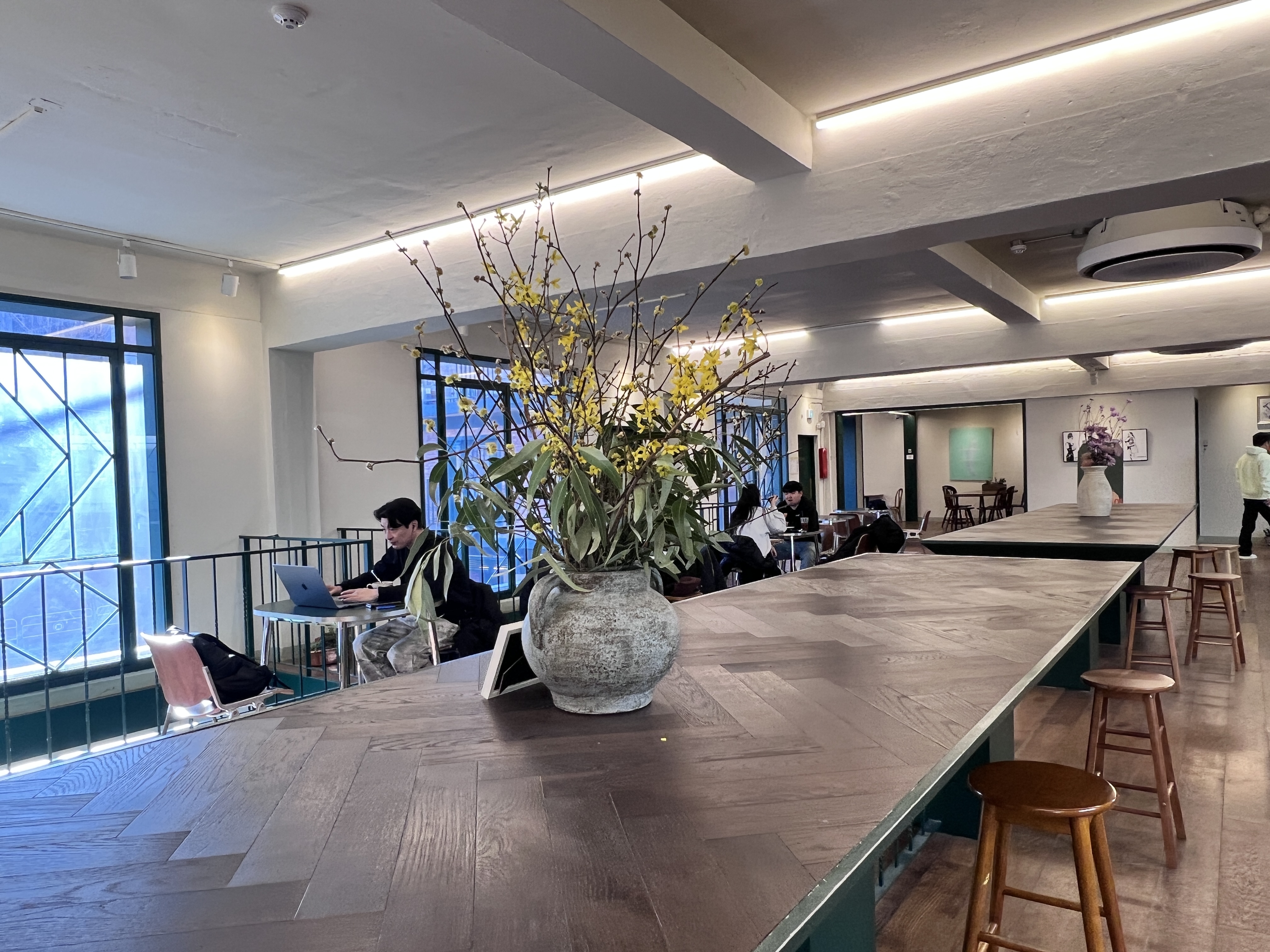 코끼리베이글 성수