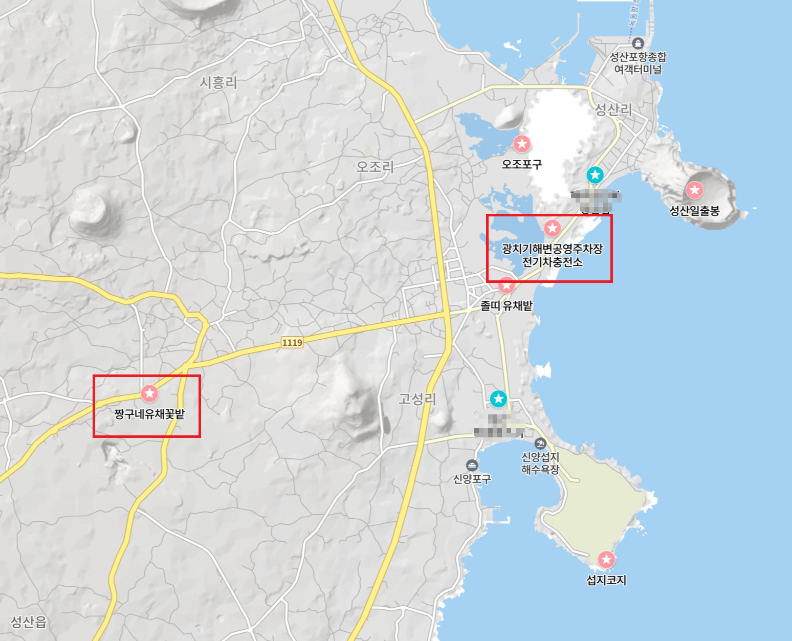 짱구네 유채꽃밭과 광치기해변공영주차장
