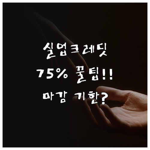 2025년 실업크레딧 75% 지원 혜..