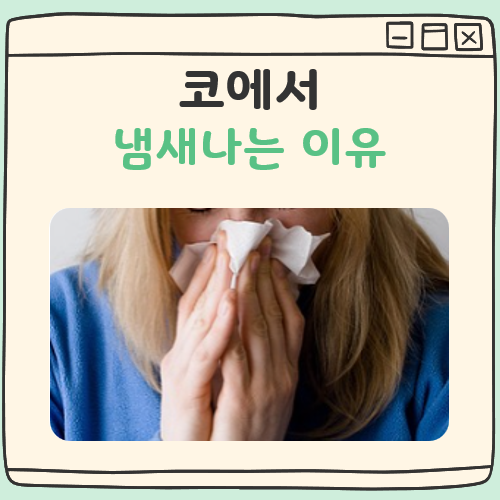코에서 냄새나는이유 대표 이미지