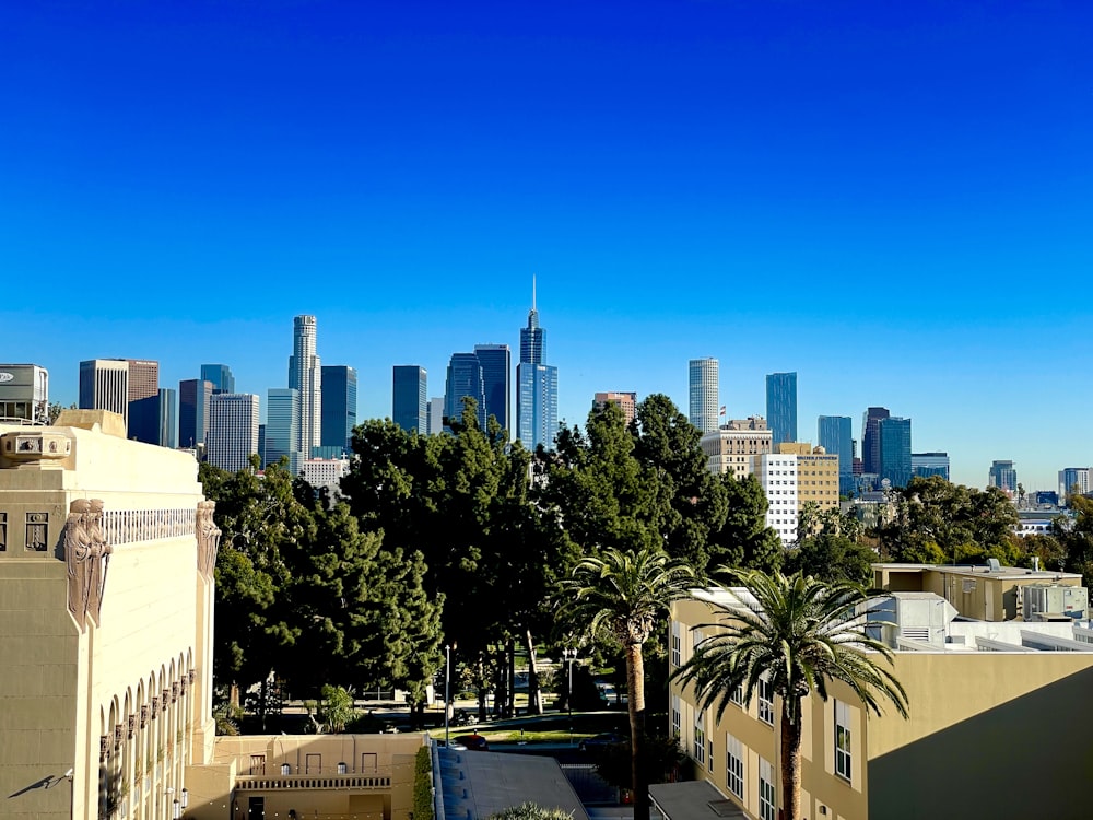 불확실한 시대 관련 이미지