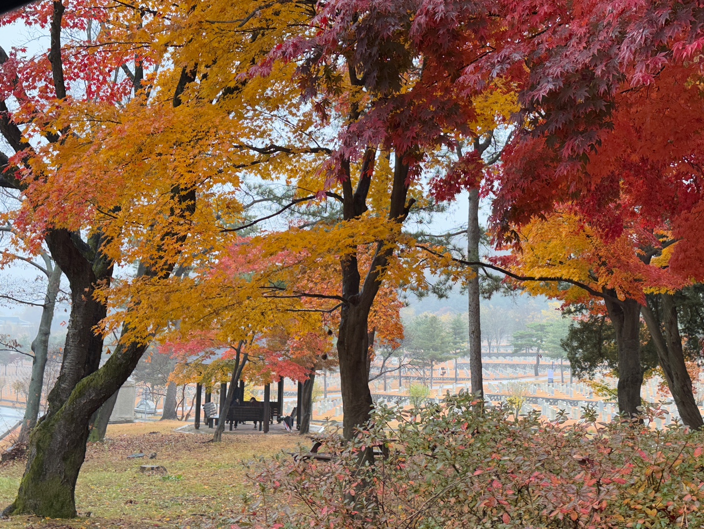 국립현충원