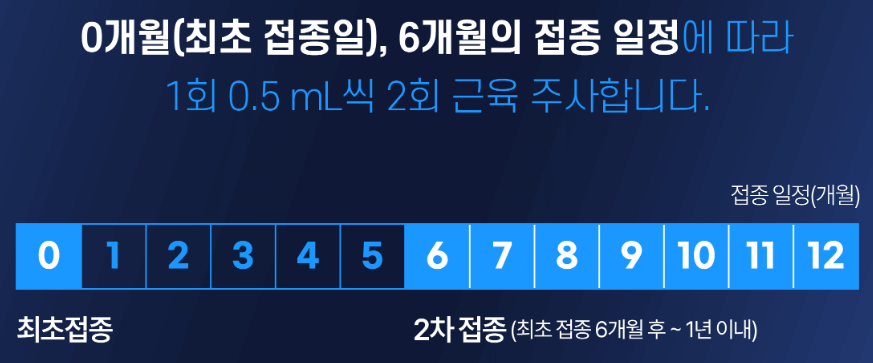 가다실9 접종 간격(2회 접종)