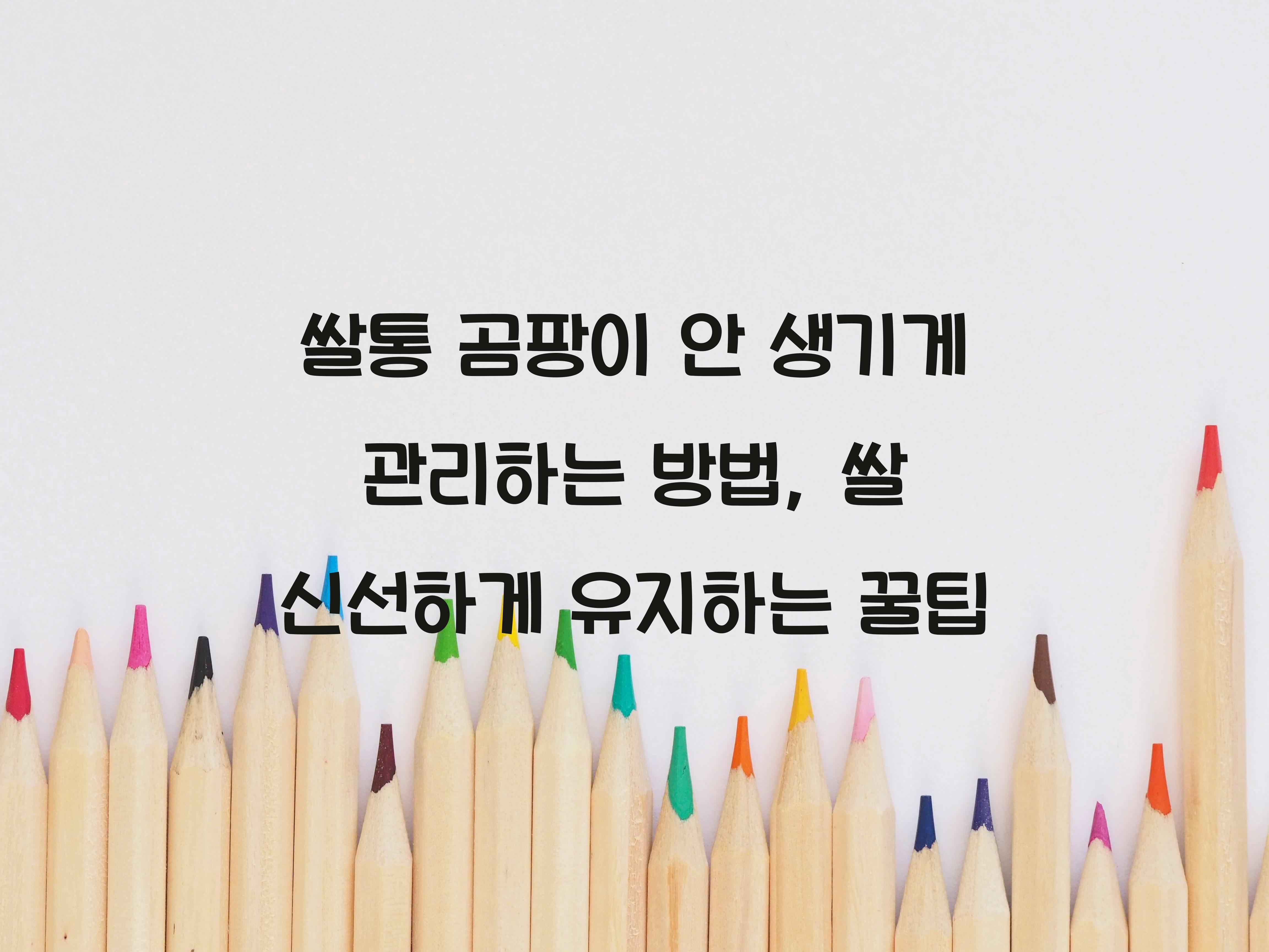 쌀통 곰팡이 안 생기게 관리하는 방법
