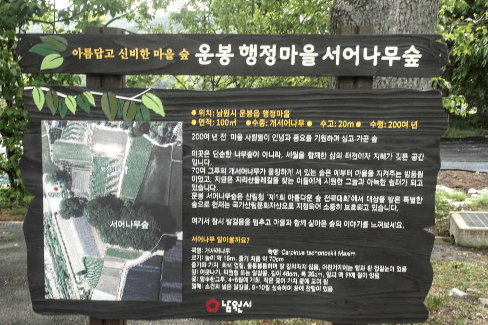 서어나무숲 역사를 알려주는 안내판