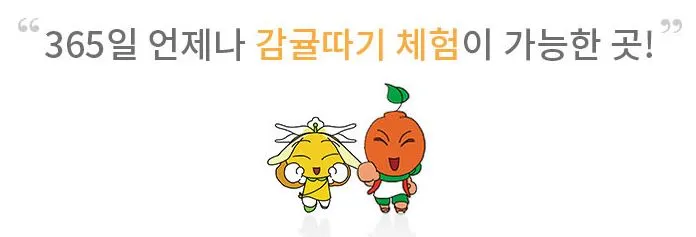 제주도-아이들과-가볼만한-체험-사계절-감귤-체험-가능-안내