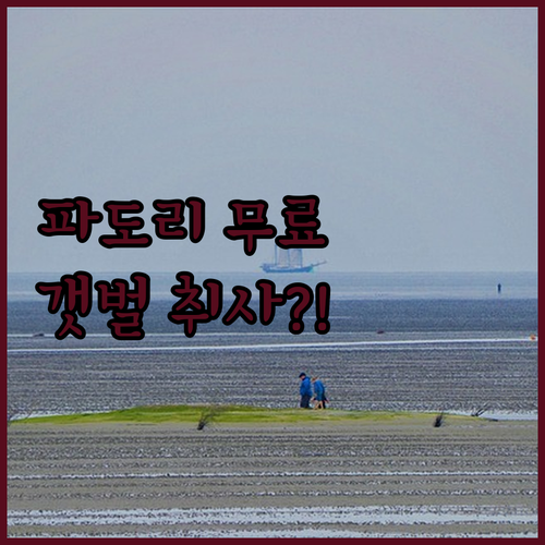 태안 파도리 갯벌 체험 무료 포인트 ..