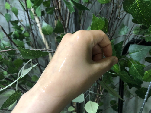 핸드클리너