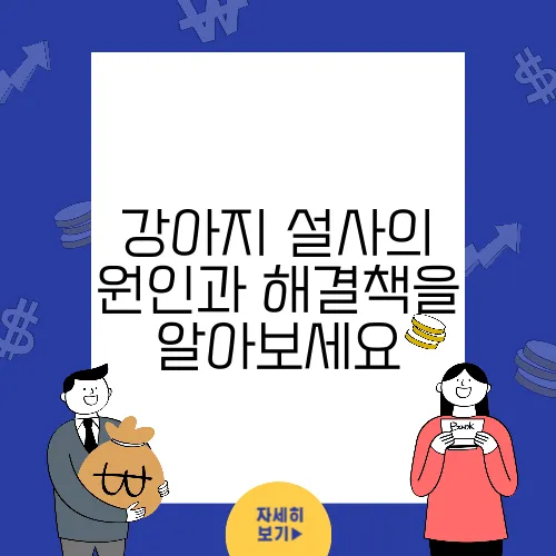 강아지 설사의 원인과 해결책을 알아보세요