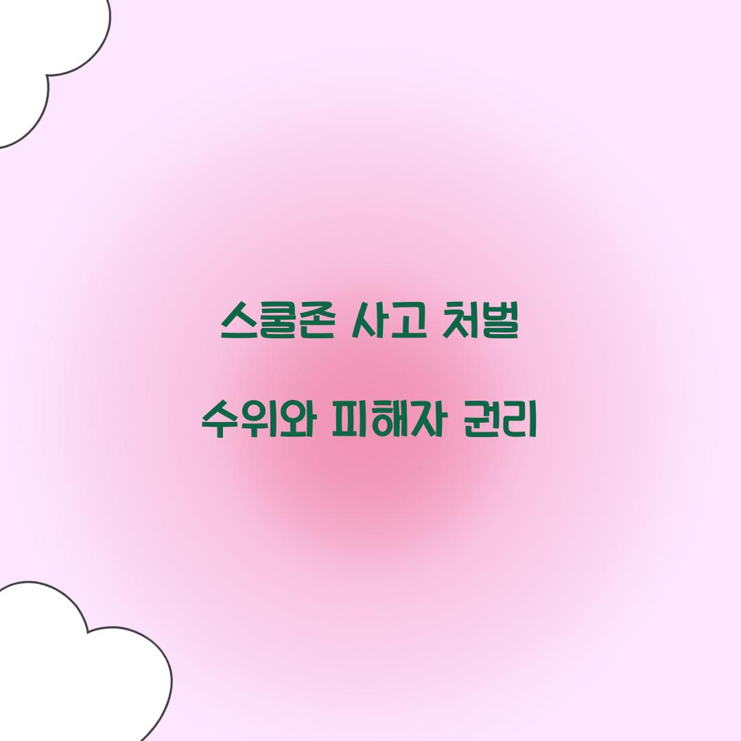 스쿨존 사고 처벌 수위