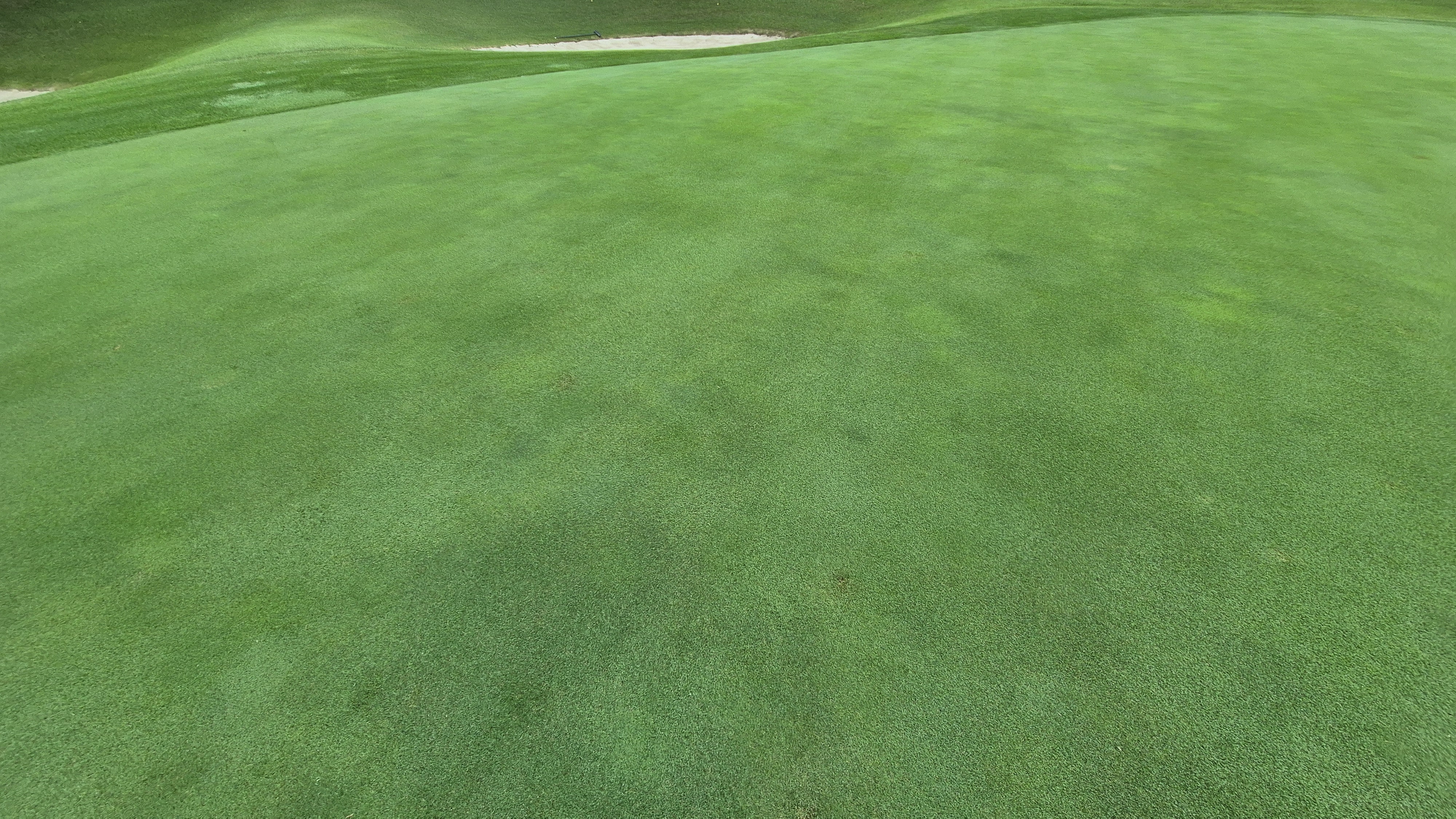 뉴스프링빌cc 라운드 후기