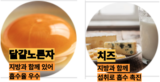 루테인 많은 달걀노른자와 치즈