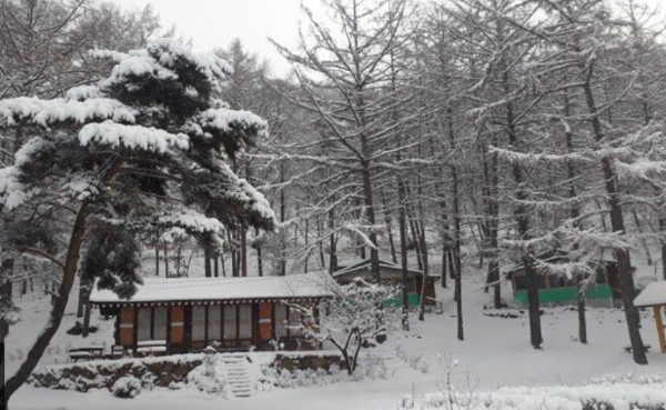 양평설매재자연휴양림