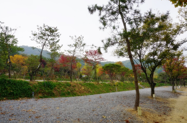 양평수목원캠핑장