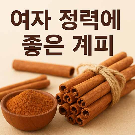 여자 정력에 좋은 음식 계피 영양 효과 섭취 방법 부작용 알아보기