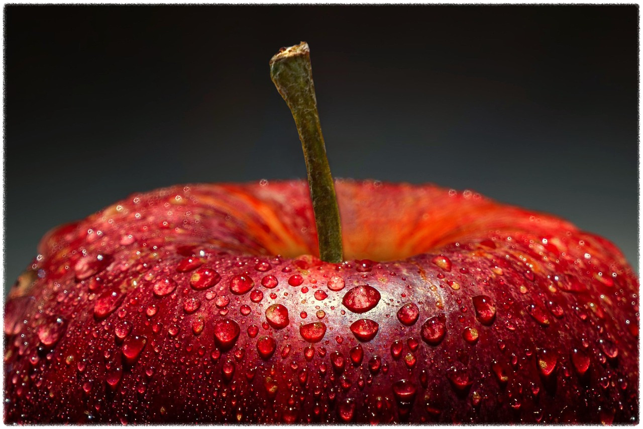 위고비 가격 및 부작용 안내