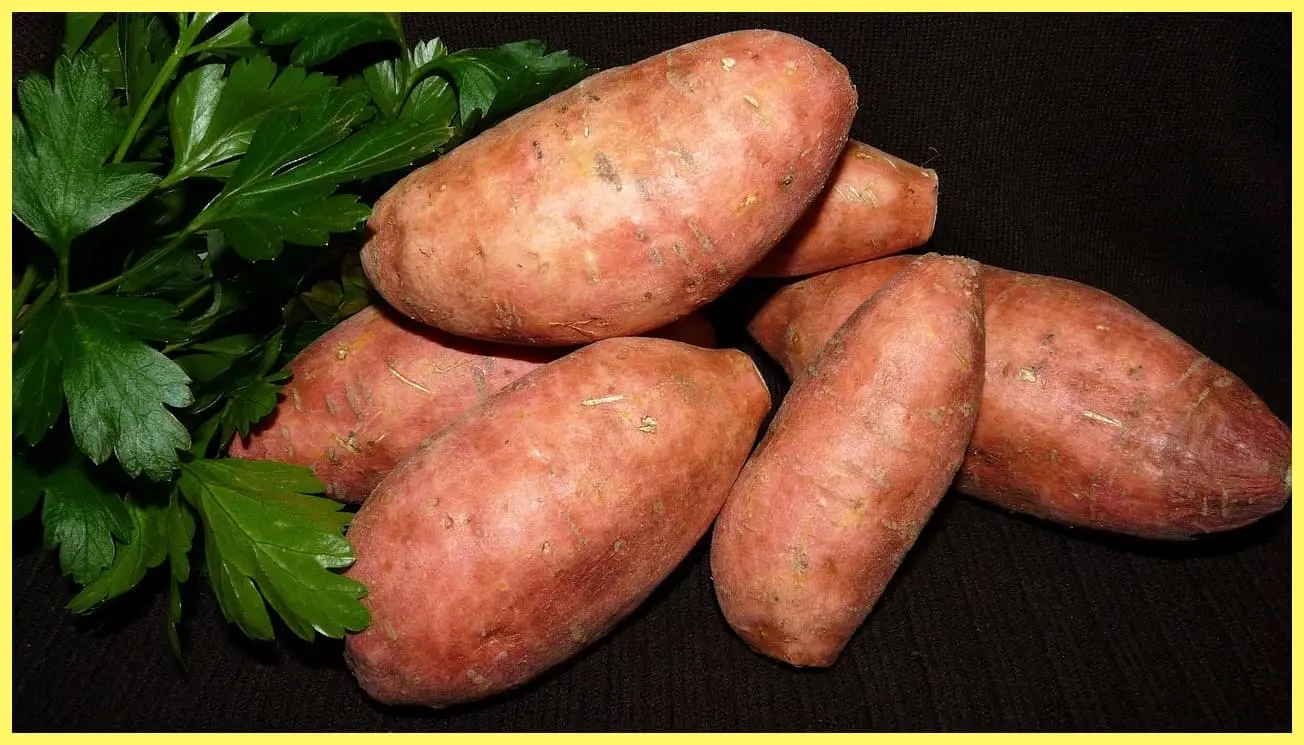 긴장하면 설사? 과민성장증후군 원인부터 실생활 대처법까지 한 번에 정리