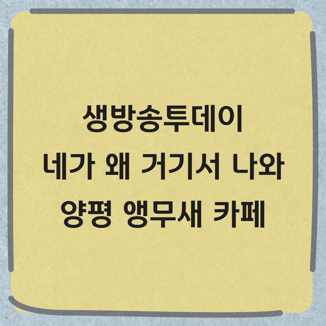 생방송투데이 네가 왜 거기서 나와 앵무새 체험 식물원 카페 정보