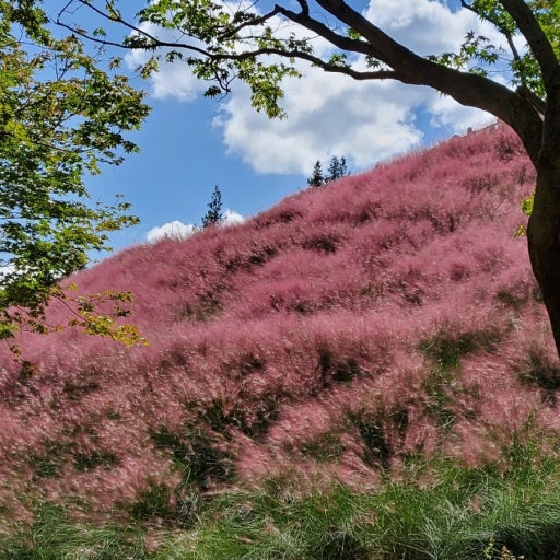 정읍 가볼만한곳 베스트10