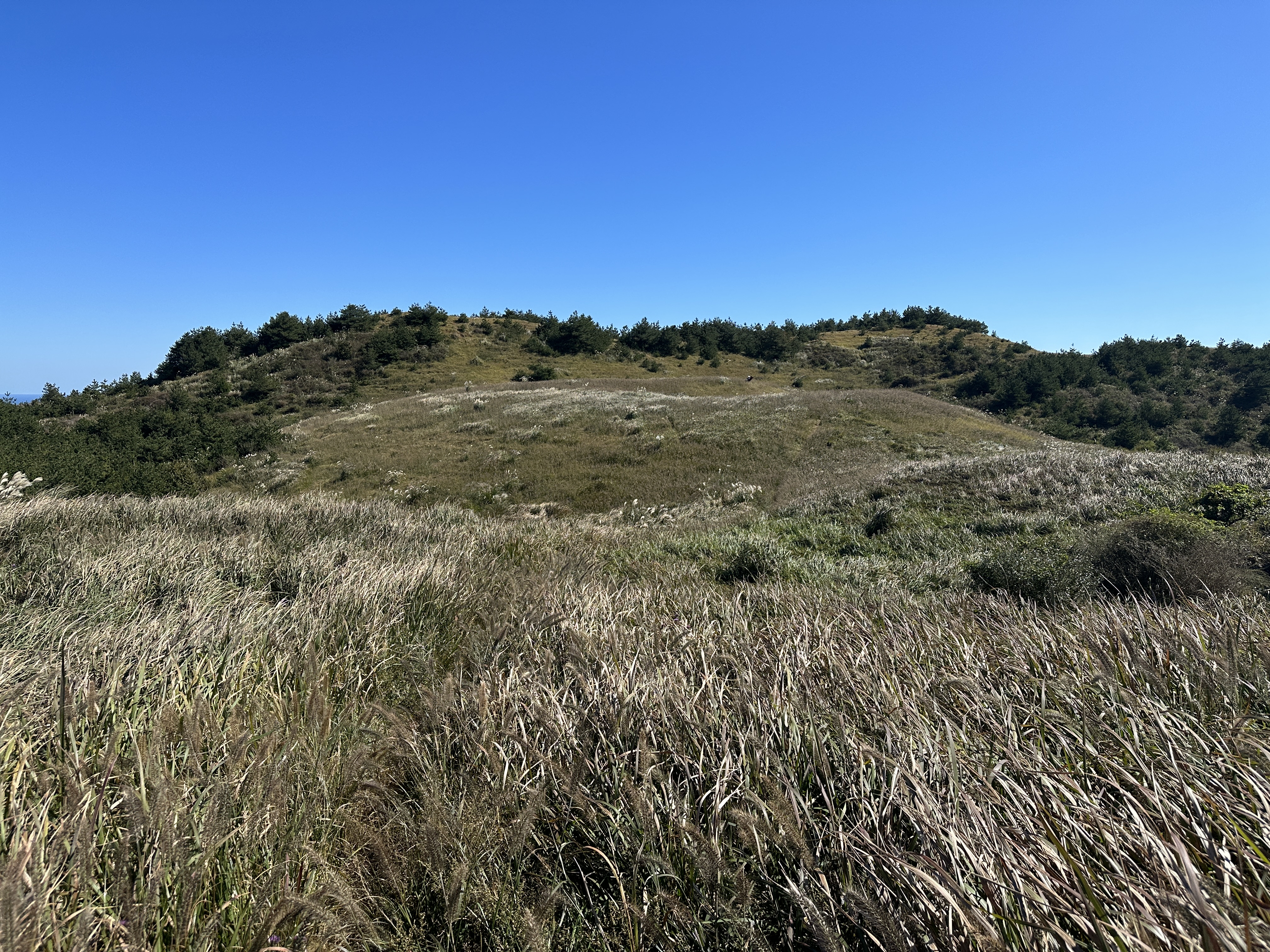 동검은이오름 / 동거문오름 탐방로