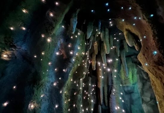 섬진강기차마을드림랜드