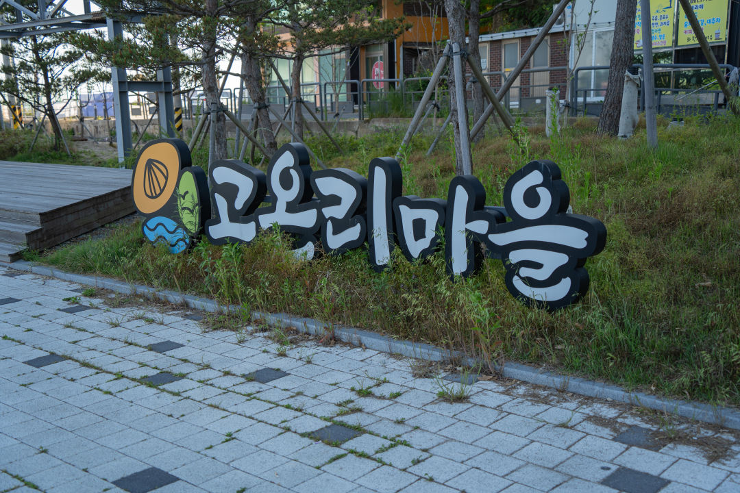 고온이 해변 