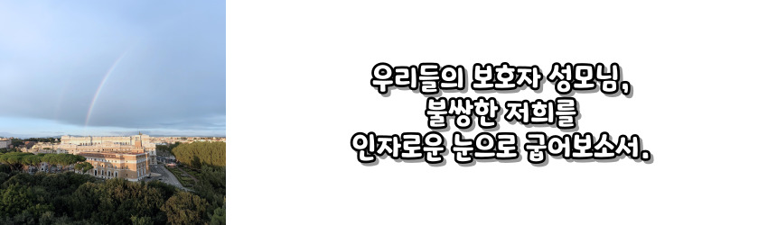 천주교 묵주 기도 성월 기도문_성월 기도