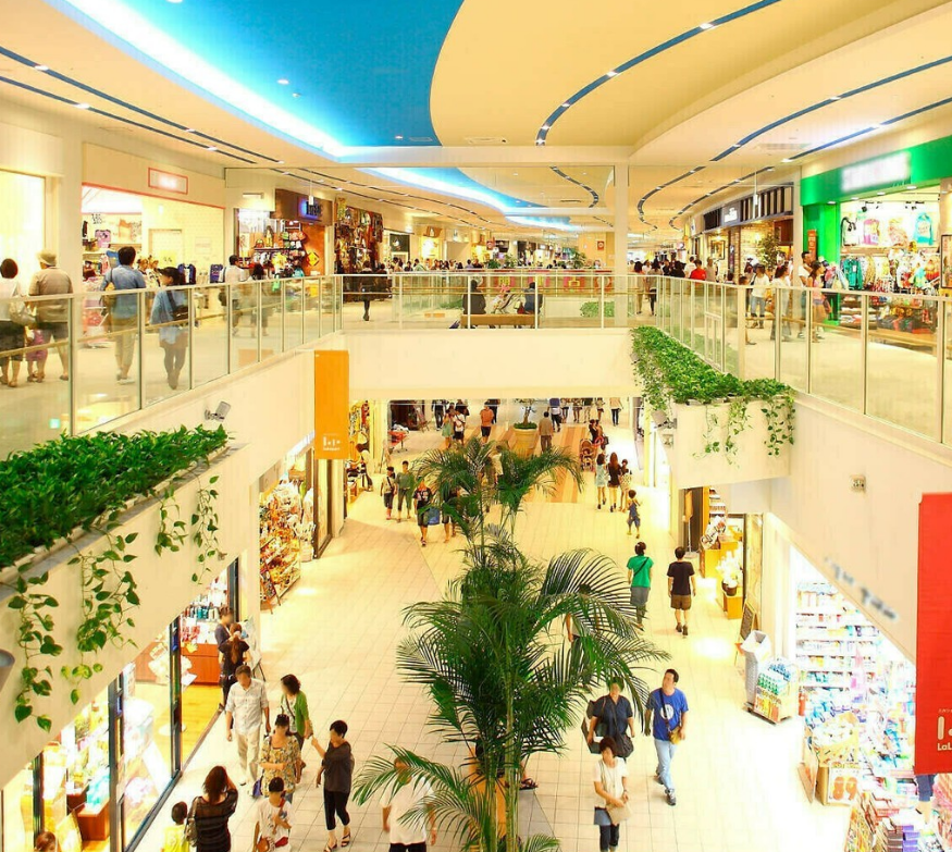 라라포트 이와타