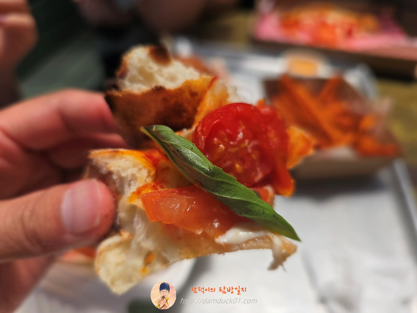 더 그라운즈 오브 알렉산드리아(The Grounds of Alexandria)